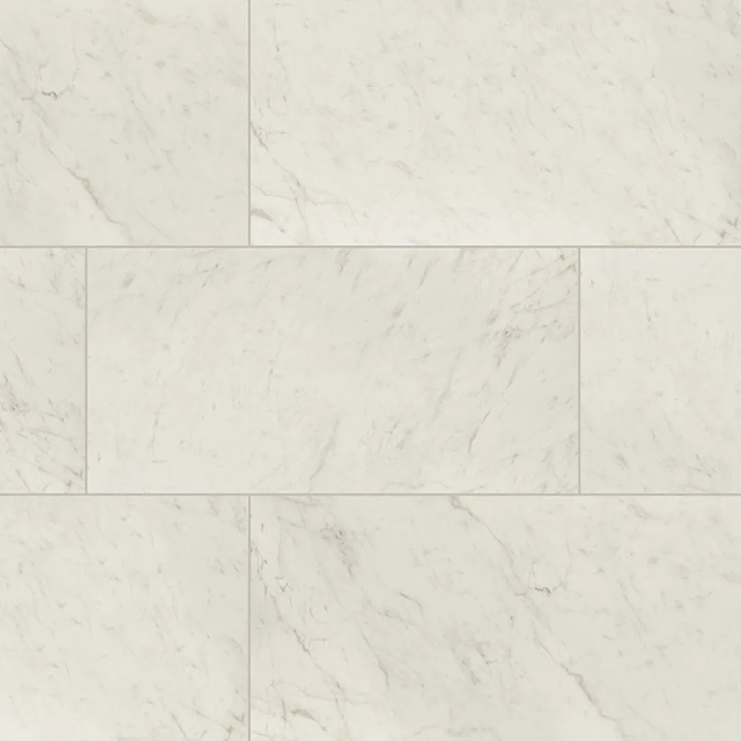 Carrara Bianco Matte, 24" x 48" - Porcelain Tile